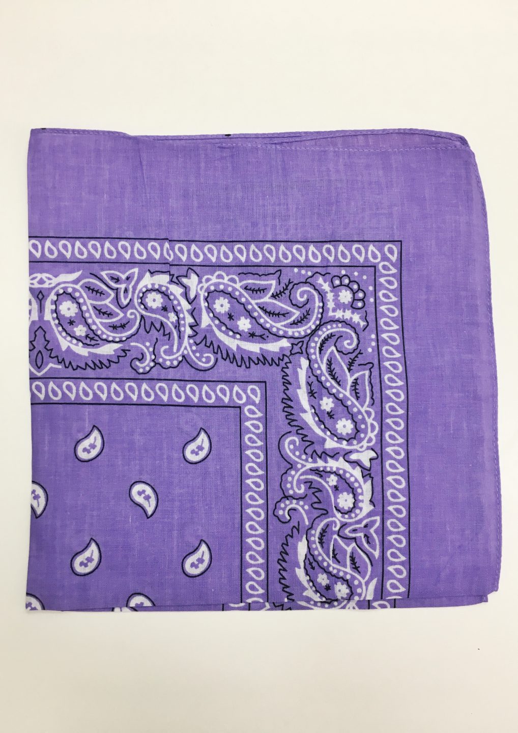 Purple Bandana DayDreamers